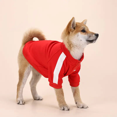 Winter Luxury Pet Clothes