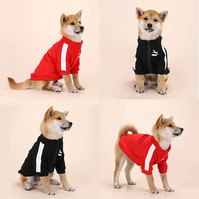 Winter Luxury Pet Clothes