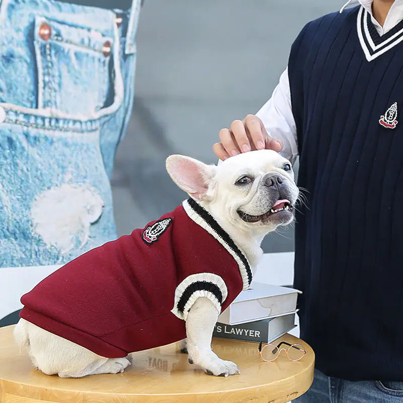 College Style Warm Pet Clothes