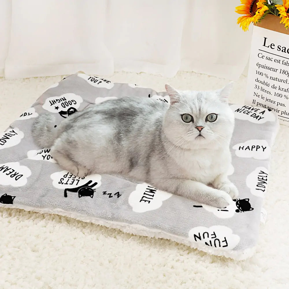 Soft Pet  Blanket